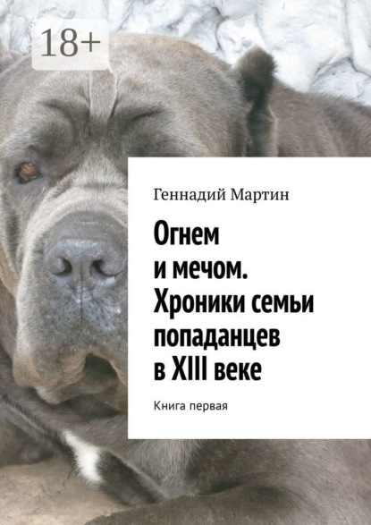 Скачать книгу Огнем и мечом. Хроники семьи попаданцев в XIII веке. Книга первая