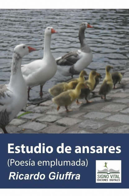 Скачать книгу Estudio de Ansares