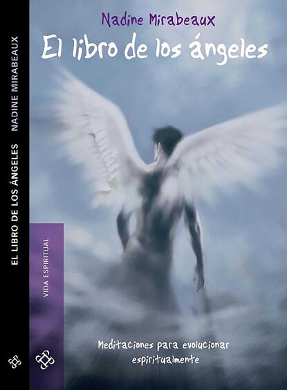 Скачать книгу El libro de los ángeles