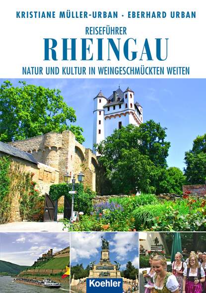 Скачать книгу Reiseführer Rheingau