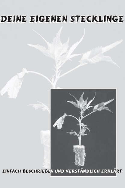 Скачать книгу Deine eigenen Stecklinge