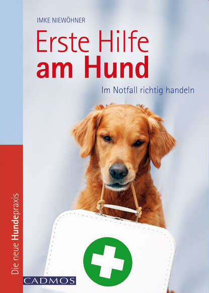 Скачать книгу Erste Hilfe am Hund