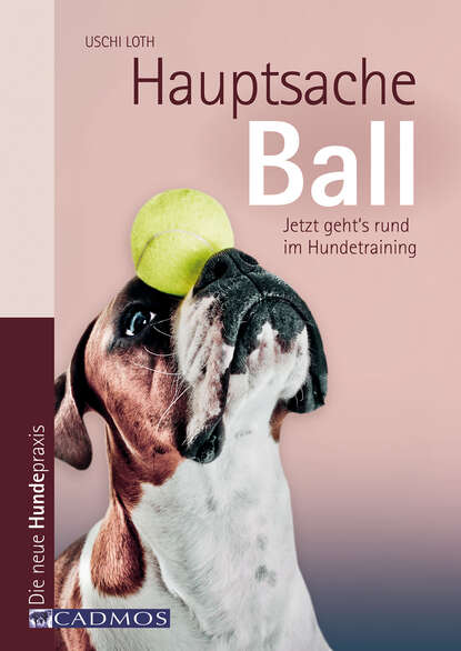 Скачать книгу Hauptsache Ball