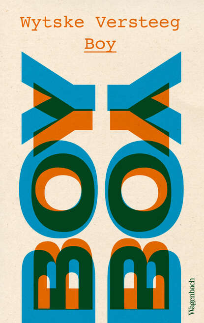 Скачать книгу Boy