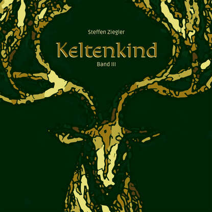 Скачать книгу Keltenkind
