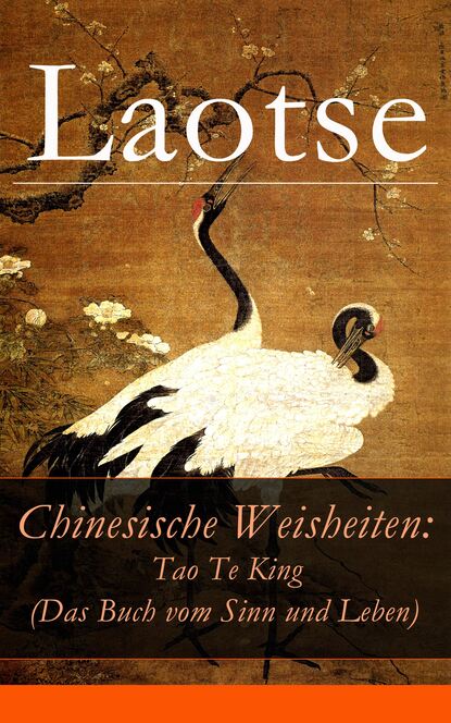 Скачать книгу Chinesische Weisheiten: Tao Te King (Das Buch vom Sinn und Leben)