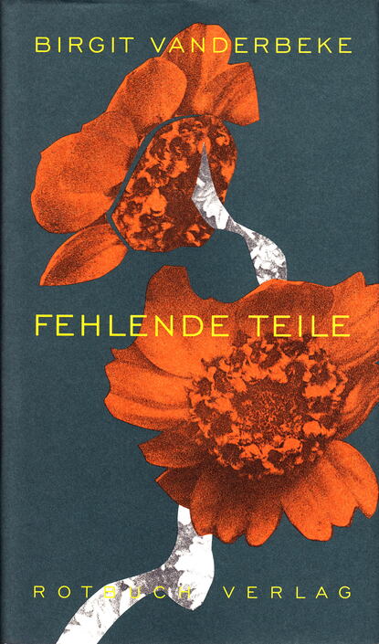 Скачать книгу Fehlende Teile
