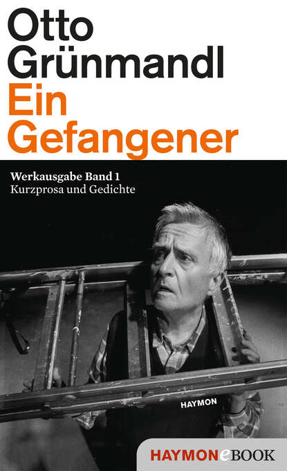 Скачать книгу Ein Gefangener