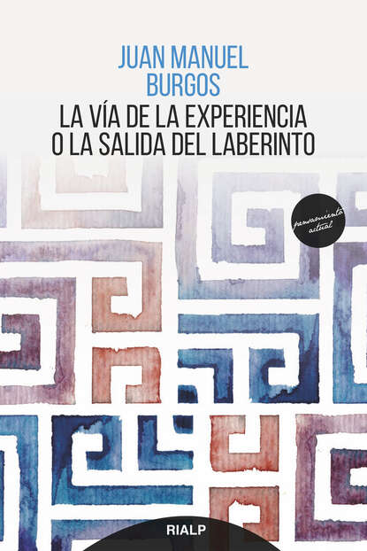 Скачать книгу La vía de la experiencia o la salida del laberinto