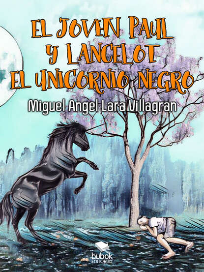 Скачать книгу El joven Paul y Lancelot el unicornio negro