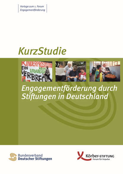 Скачать книгу Engagementförderung durch Stiftungen in Deutschland