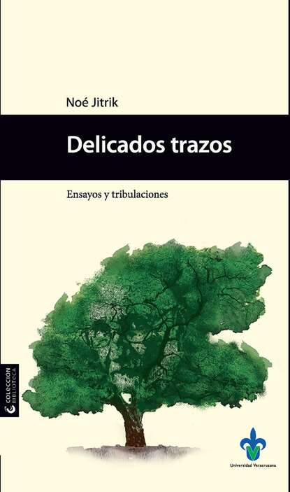 Скачать книгу Delicados trazos