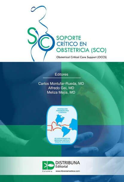 Скачать книгу Soporte crítico en obstetricia (SCO)