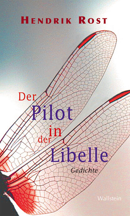Скачать книгу Der Pilot in der Libelle