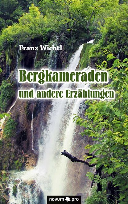 Скачать книгу Bergkameraden und andere Erzählungen