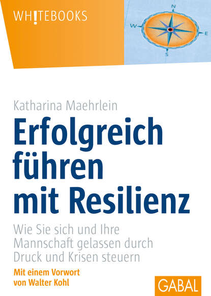 Скачать книгу Erfolgreich führen mit Resilienz