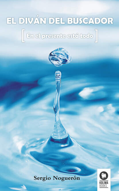 Скачать книгу El diván del buscador