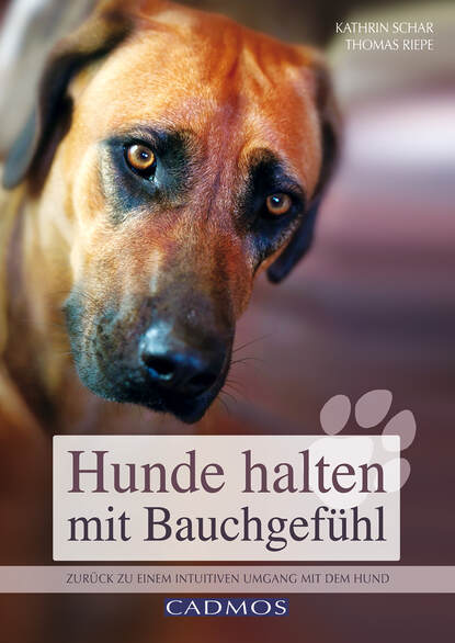 Скачать книгу Hunde halten mit Bauchgefühl