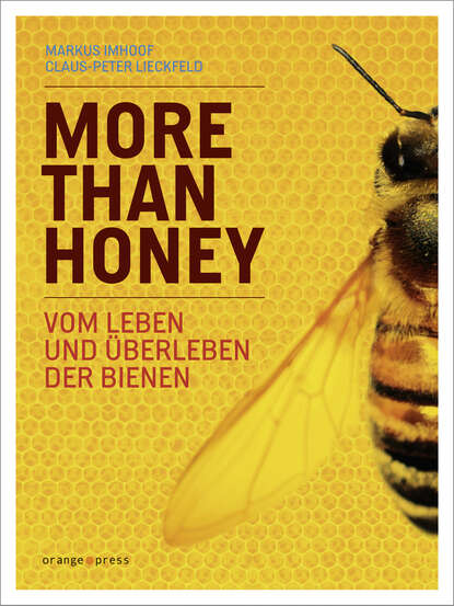 Скачать книгу More Than Honey