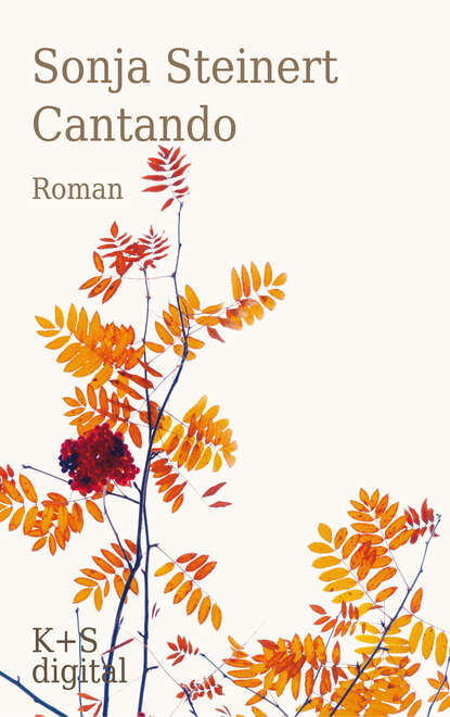 Скачать книгу Cantando