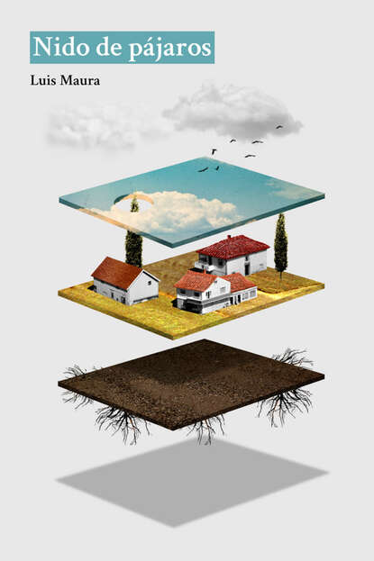 Скачать книгу Nido de pájaros