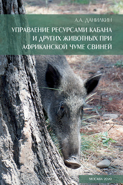 Управление ресурсами кабана и других животных при африканской чуме свиней