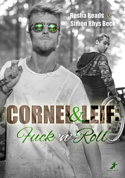 Скачать книгу Cornel und Leif: Fuck 'n' Roll