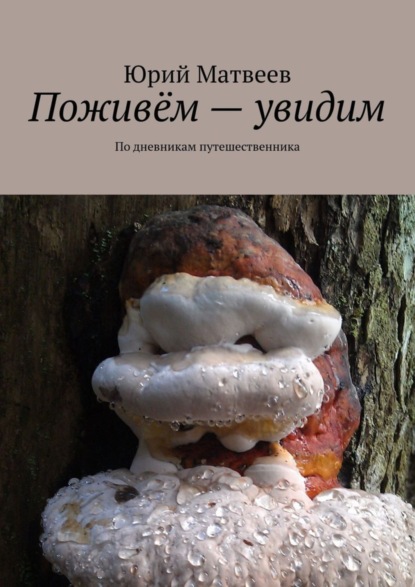 Скачать книгу Поживём – увидим. По дневникам путешественника