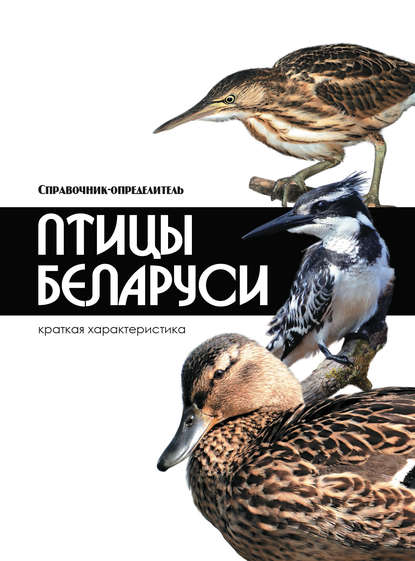 Скачать книгу Птицы Беларуси