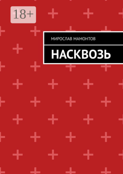 Скачать книгу Насквозь