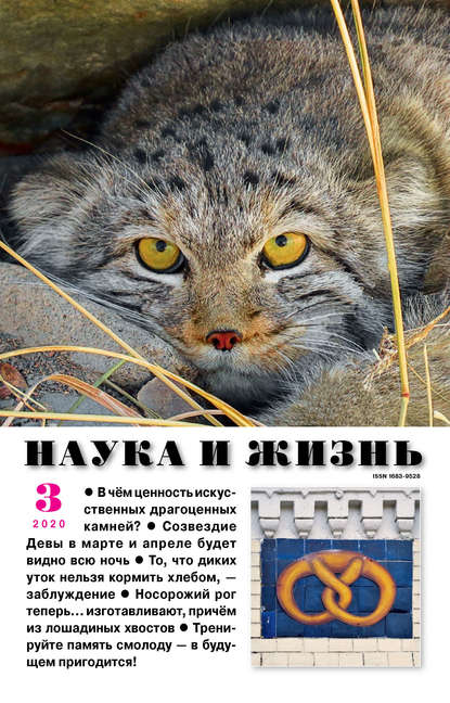 Скачать книгу Наука и жизнь №03/2020