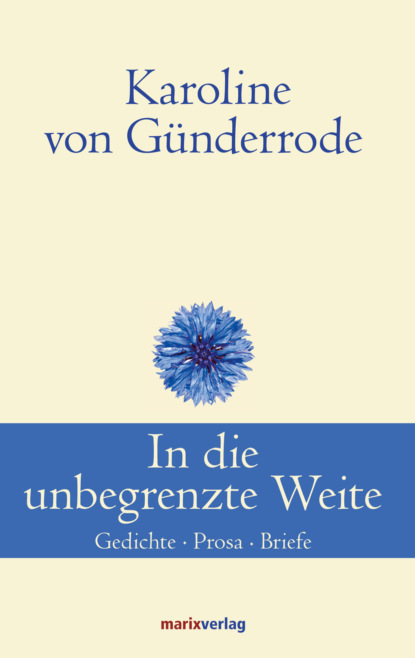 Скачать книгу In die unbegrenzte Weite