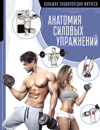 Скачать книгу Анатомия силовых упражнений