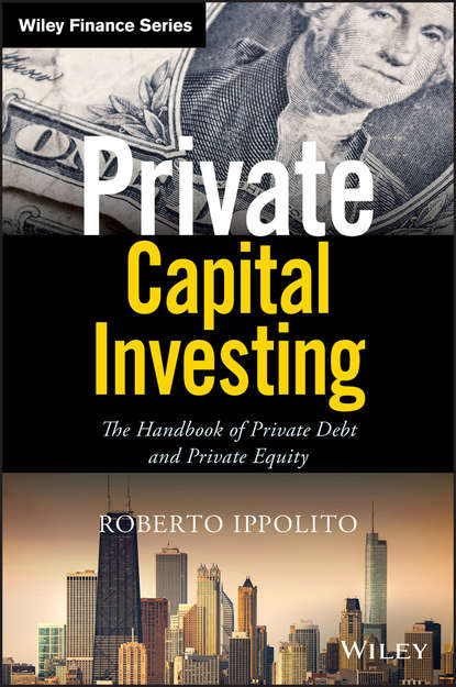 Скачать книгу Private Capital Investing