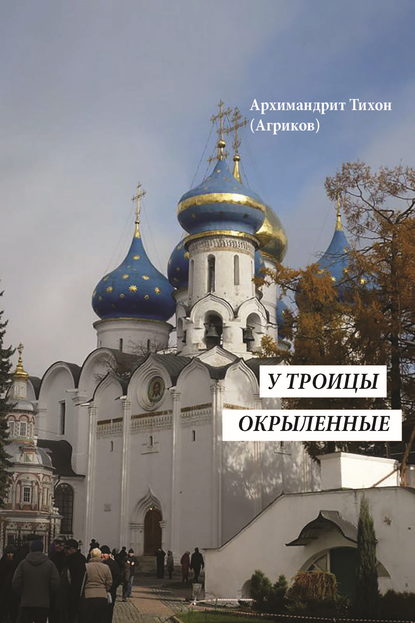 Скачать книгу У Троицы окрыленные