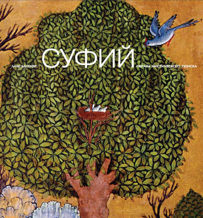 Скачать книгу Суфий: образы мистического поиска