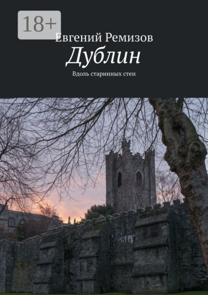 Скачать книгу Дублин. Вдоль старинных стен