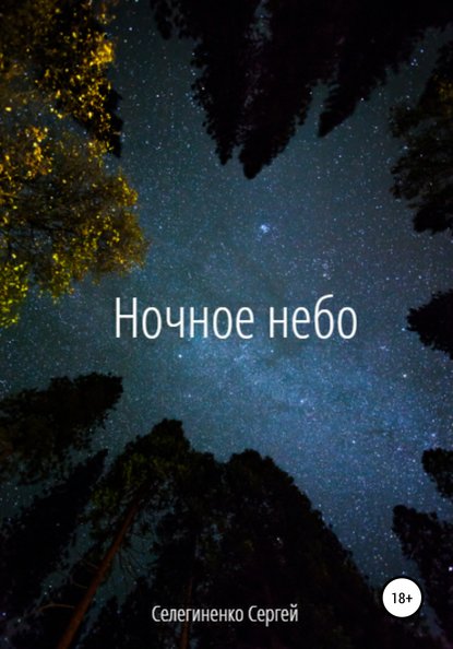 Скачать книгу Ночное небо