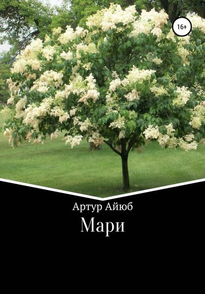 Скачать книгу Мари