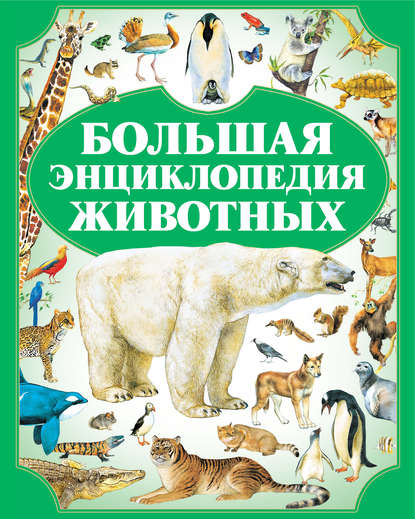 Скачать книгу Большая энциклопедия животных