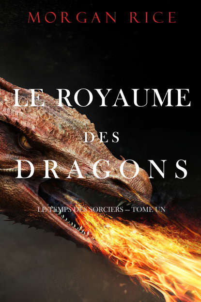 Скачать книгу Le Royaume des Dragons