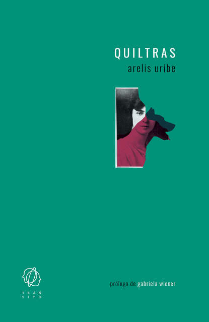 Скачать книгу Quiltras