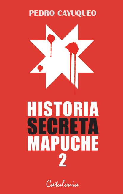 Скачать книгу Historia secreta mapuche 2