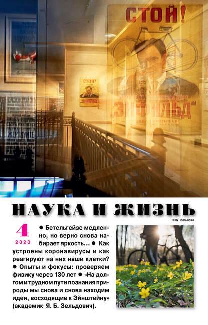 Скачать книгу Наука и жизнь №04/2020