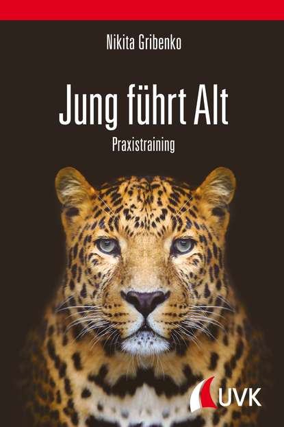 Скачать книгу Jung führt Alt