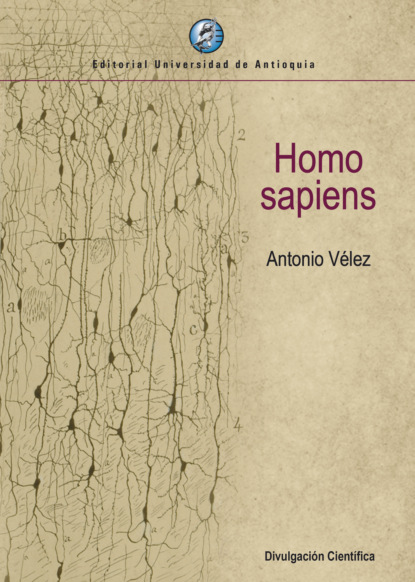 Скачать книгу Homo sapiens