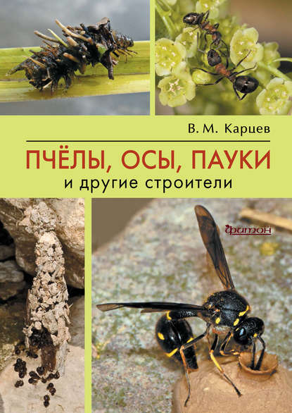 Скачать книгу Пчёлы, осы, пауки и другие строители