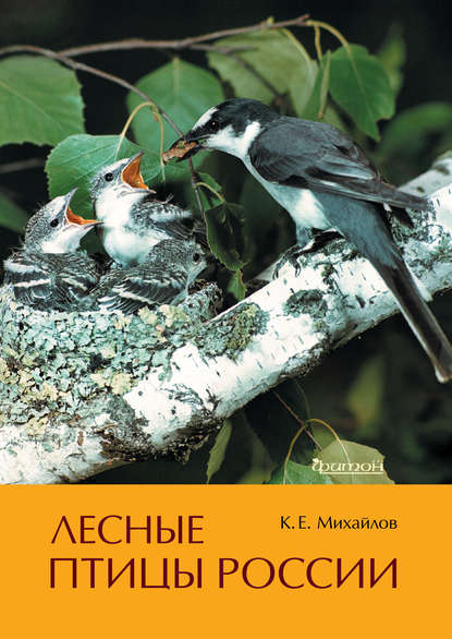 Скачать книгу Лесные птицы России