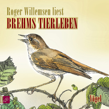Скачать книгу Brehms Tierleben - Vögel