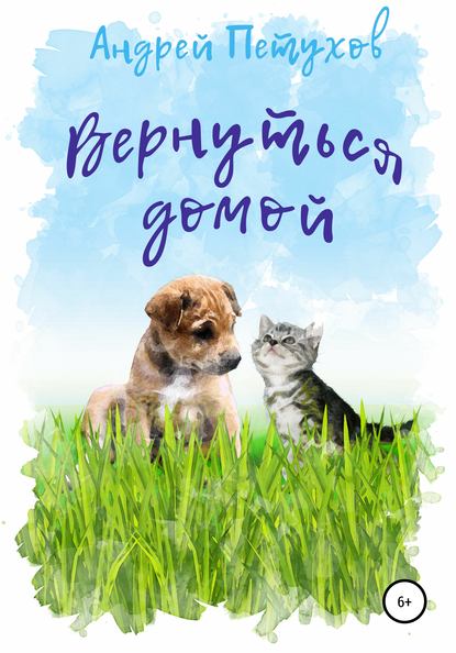 Скачать книгу Вернуться домой